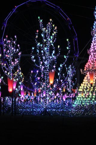 「カマンベール」さんからの投稿写真＠TOKIWAファンタジア2025