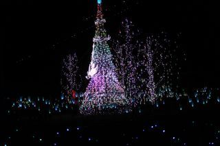 「干し柿」さんからの投稿写真＠TOKIWAファンタジア2025