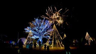 「ちゃみ」さんからの投稿写真＠国営越後丘陵公園ウインターイルミネーション