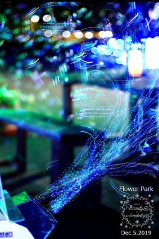 「ren」さんからの投稿写真＠いばらきフラワーパーク イルミネーション2023「Moonlight Rose Garden」