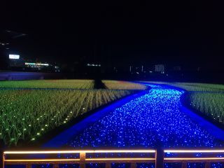 「JJ」さんからの投稿写真＠TOKYO MEGA ILLUMINATION