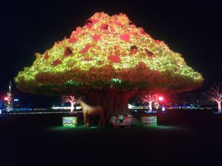 「JJ」さんからの投稿写真@TOKYO MEGA ILLUMINATION