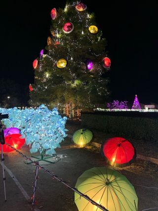 「みかちょ」さんからの投稿写真