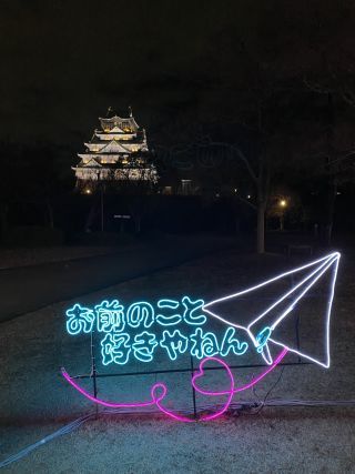 「匿名希望❤️」さんからの投稿写真＠大阪城イルミナージュ