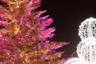 「ひろさん」さんからの投稿写真＠ロッテアライリゾート「LIGHT PARKS」by FeStA LuCe