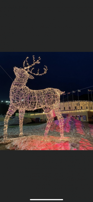 「猫さま。りかちゃん。」さんからの投稿写真＠ロッテアライリゾート「LIGHT PARKS」by FeStA LuCe