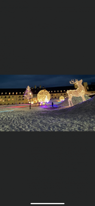 「猫さま。りかちゃん。」さんからの投稿写真＠ロッテアライリゾート「LIGHT PARKS」by FeStA LuCe