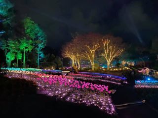 「yusuke」さんからの投稿写真＠【初開催】はなぶん サンクスイルミ～旅うさぎと光の国～