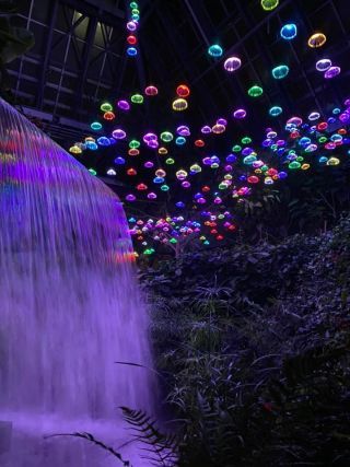 「yusuke」さんからの投稿写真＠【初開催】はなぶん サンクスイルミ～旅うさぎと光の国～