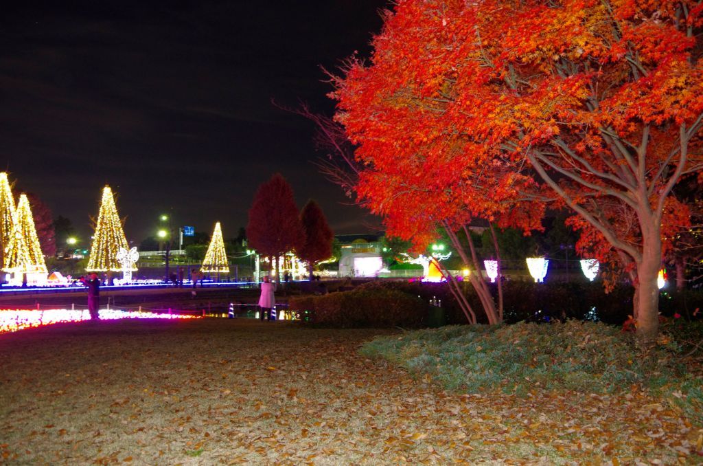 木曽三川公園センター 冬の光物語の投稿写真 イルミネーション特集