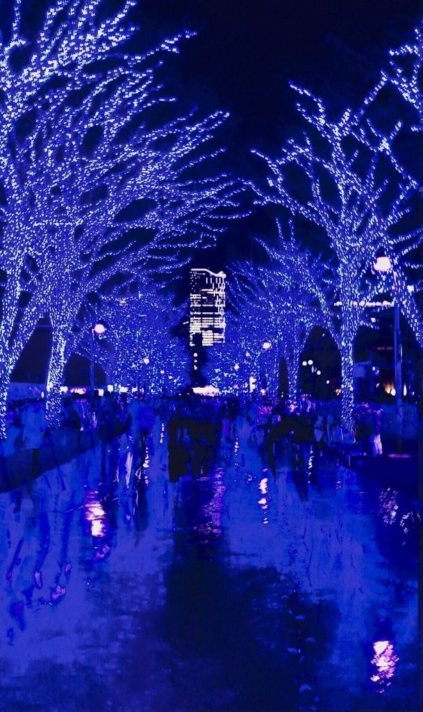 青の洞窟 Shibuya イルミネーション特集