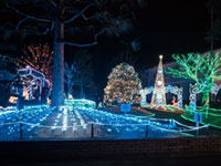 2014 イルミネーション in 那須烏山の写真