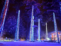 ツインイルミネーション「光の森のページェント」(国営アルプスあづみの公園 堀金・穂高地区)の写真