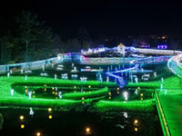 ツインイルミネーション「光の森のページェント」(国営アルプスあづみの公園 堀金・穂高地区)の写真
