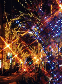 東北のデートにおすすめイルミネーション イルミネーション特集