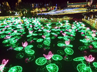 東南植物楽園 ひかりの散歩道 21 イルミネーション特集