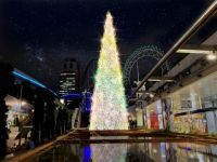 東京ドームシティ ウィンターイルミネーションの写真