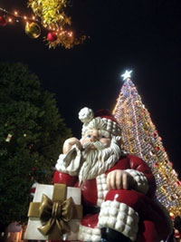 ノリタケの森 クリスマスガーデンの写真