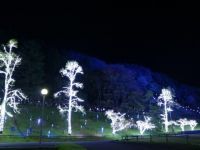 メナード青山リゾート ライトアップの写真