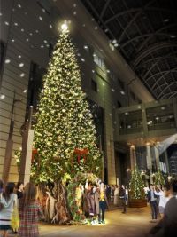 大丸福岡天神店 Fantastic Christmasの写真