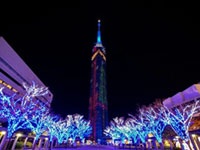 福岡タワークリスマスイルミネーションの写真