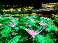 東南植物楽園「沖縄南国イルミネーション」の写真