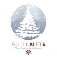 WHITE KITTEの写真