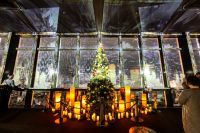 東京タワー TOKYO TOWER CITY LIGHT FANTASIA Winterの写真