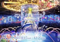 マクセル アクアパーク品川「NAKED STAR AQUARIUM」の写真