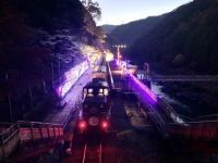 嵯峨野観光鉄道ライトアップ&イルミネーション「光の幻想列車」の写真
