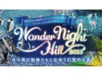 Wonder Night Hill （堺・緑のミュージアム ハーベストの丘）の写真