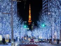 Roppongi Hills Christmasの写真