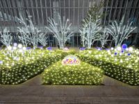 あべのハルカス 天空のイルミネーションの写真