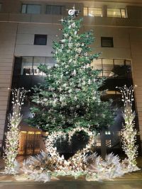 大丸福岡天神店 2024 エルガーラ パサージュ広場 クリスマスツリー