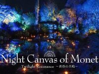 モネのナイトキャンバス Twilight Resonanceの写真