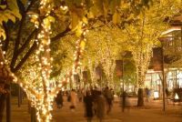 立川市に新たな冬の風物詩が誕生