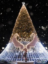 さっぽろホワイトイルミネーション（第45回）の写真