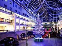 ジャンボクリスマスツリーの写真