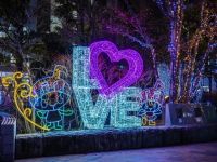 ビッグツリーページェント・フェスタ in KORIYAMAの写真