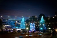 ムーミン谷のクリスマスの写真