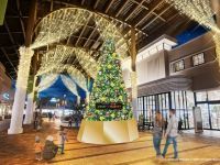 酒々井プレミアム・アウトレット ウィンターイルミネーションの写真