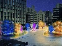 ワテラスイルミネーションの写真