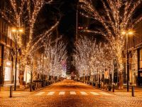 丸の内イルミネーション 2025の写真
