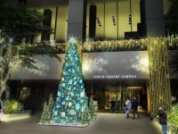 東京スクエアガーデン ウインターイルミネーションの写真