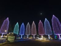 光の祭典の写真