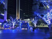 ヨコハマミライトの写真