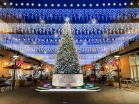 トレッサ横浜「Noel a Lyon」の写真