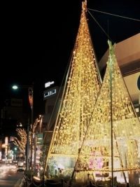 金箔雪吊り「金箔きらら」の写真