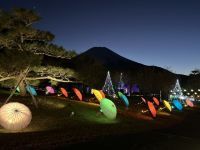 山中湖 花の都公園「イルミネーションファンタジウム」の写真