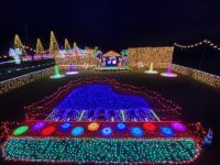 木曽三川公園センター・冬の光物語の写真